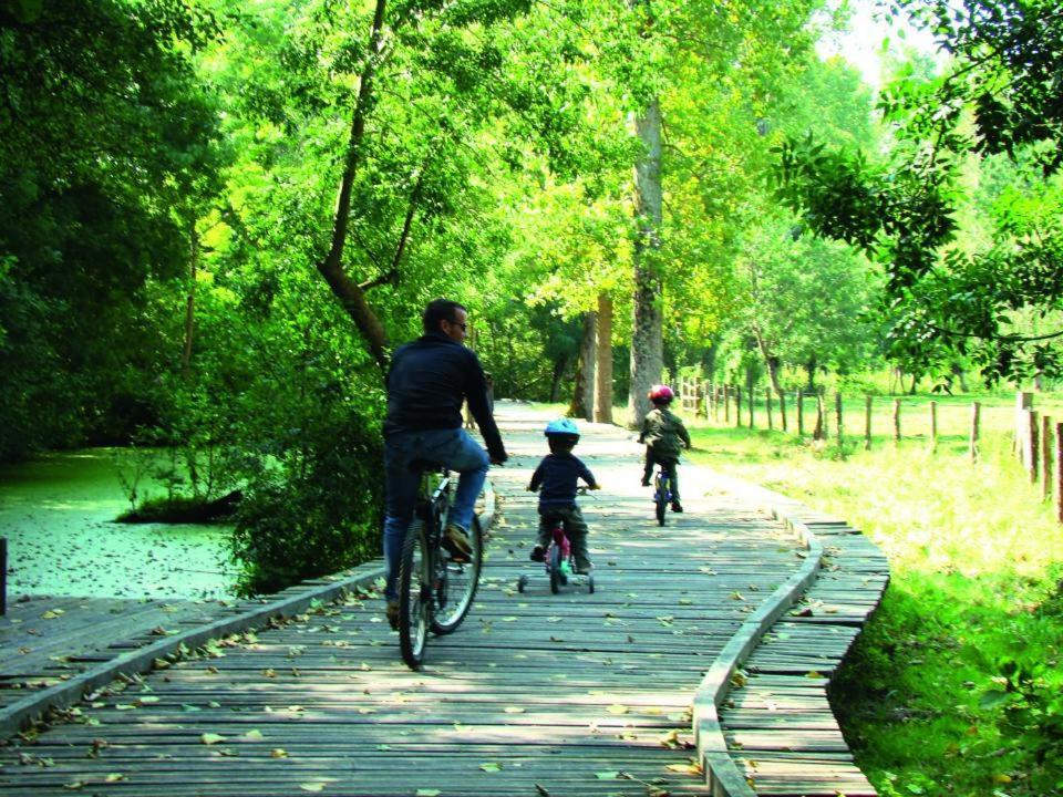 Dolce Vita En Centre Ville نيورْ المظهر الخارجي الصورة